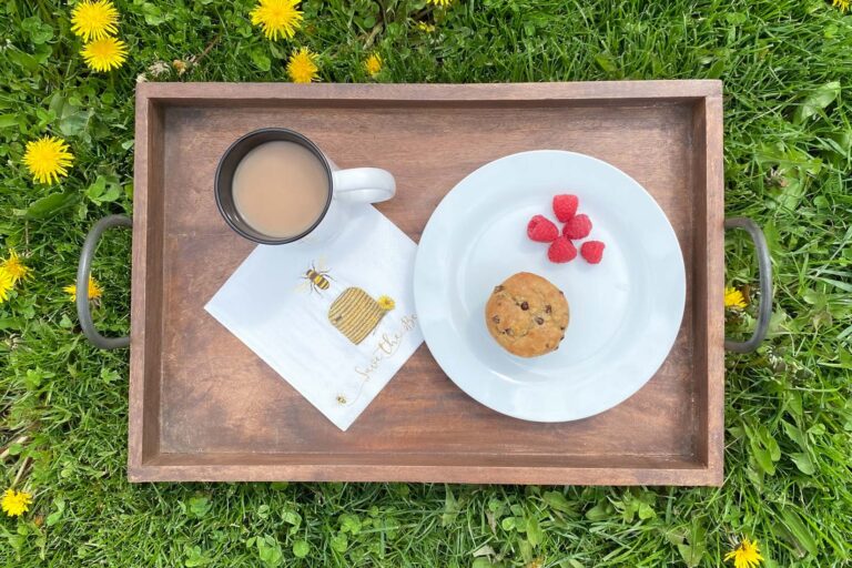 Morning Routine: Nourish