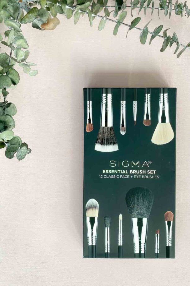 Sigma makeup brush set