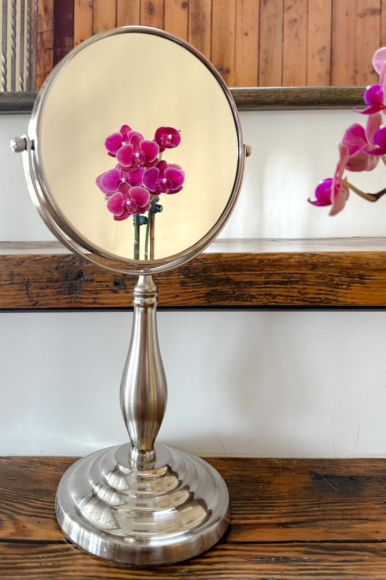 Round stand mirror reflecting a cluster of mini purple orchids.